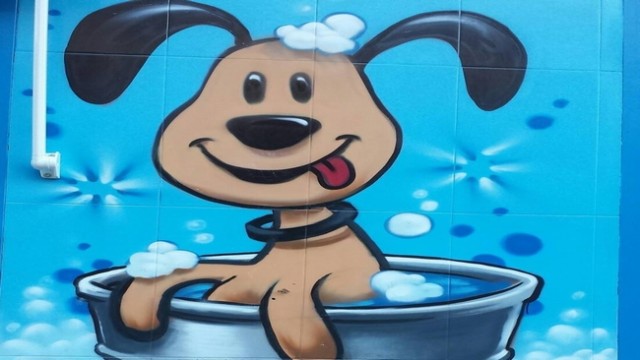 Perretes: Peluqueria canina en mostoles, baños libres para mascotas en mostoles